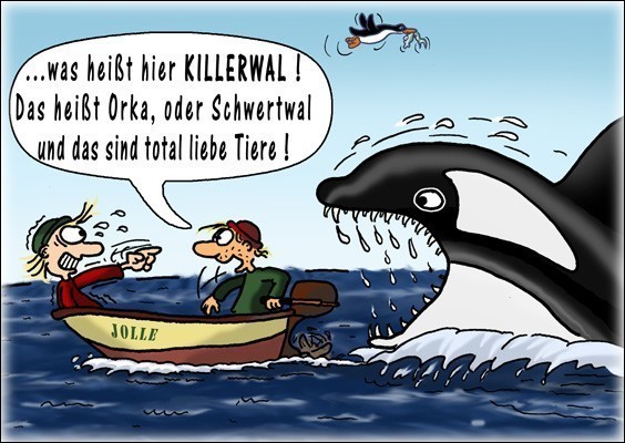 orka2