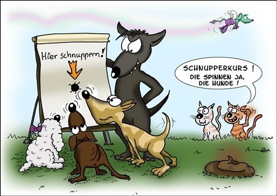 schnupperkurs