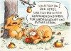schweine_apfel-web.jpg